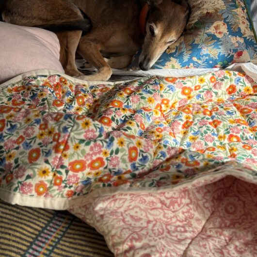 Emma Bridgewater Poppies & Pinks Quilted Throw 200Cm X 200Cm