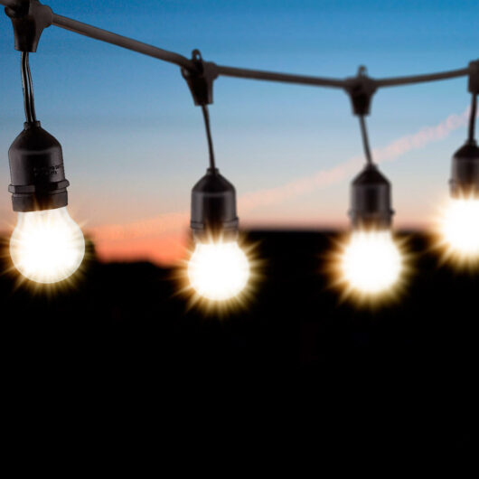 nxt gen Festoon Light E27 with 40x LED Golfball Light Bulbs Warm White Clear Black Premium 20m Connectible Outdoor String Decking Garden 20 Metre